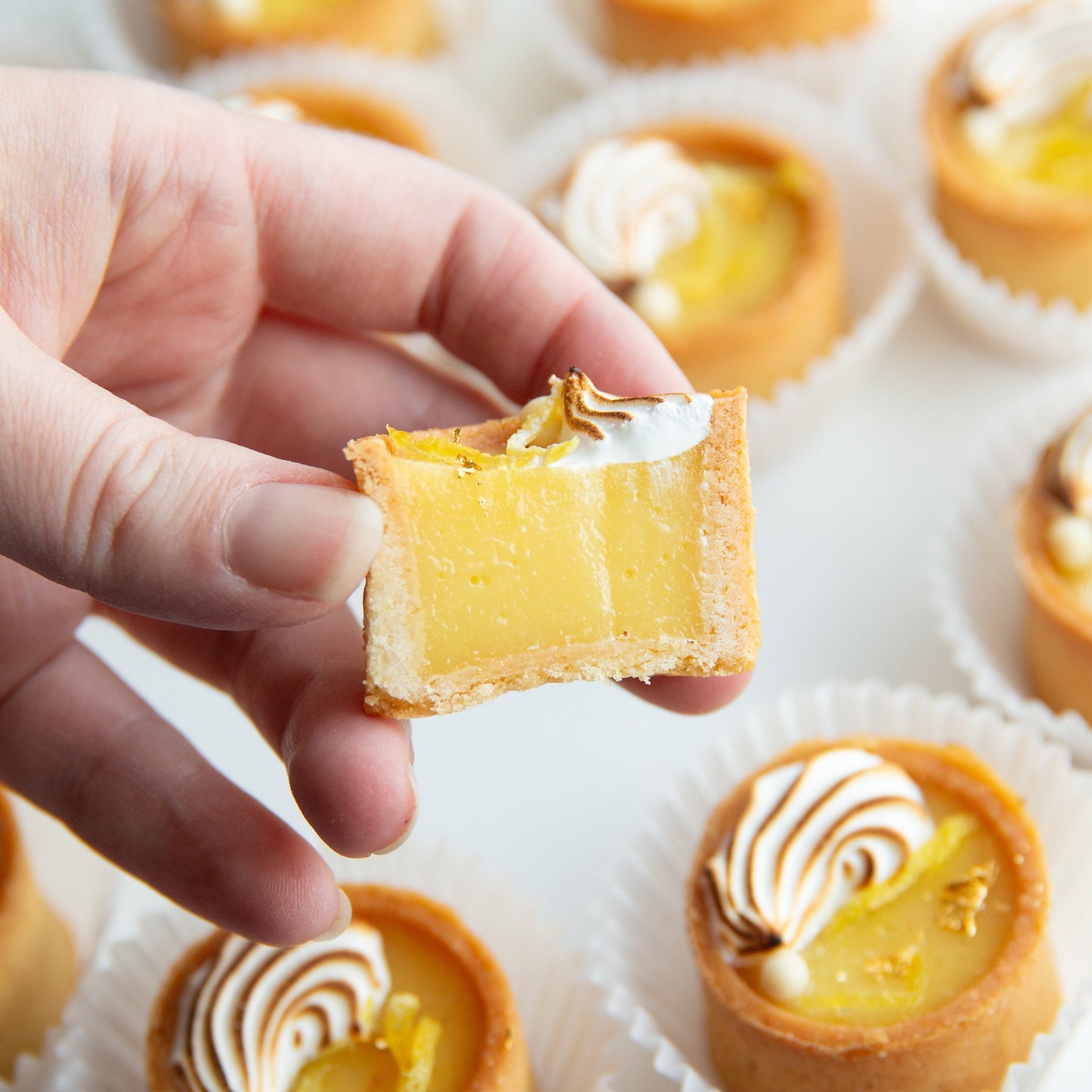 Lemon Curd Tarts (Sets of 12)