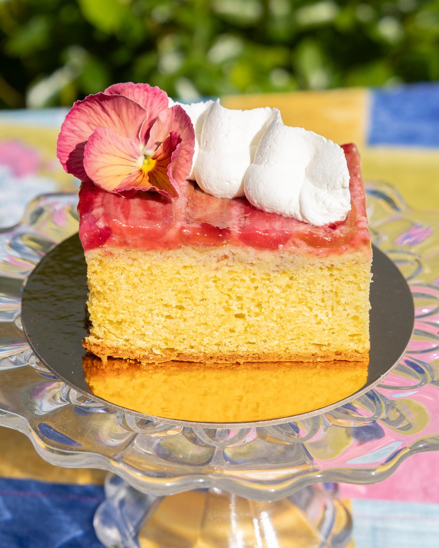 Rhubarb Hibiscus Olive Oil Cake (Sold Out)